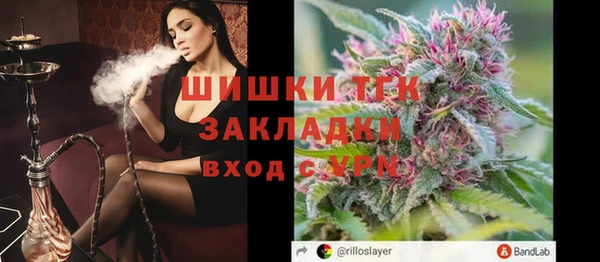 гашик Нея