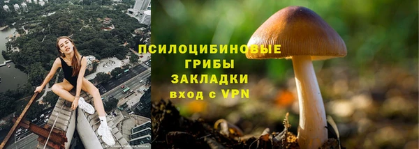 Альфа ПВП Нефтегорск