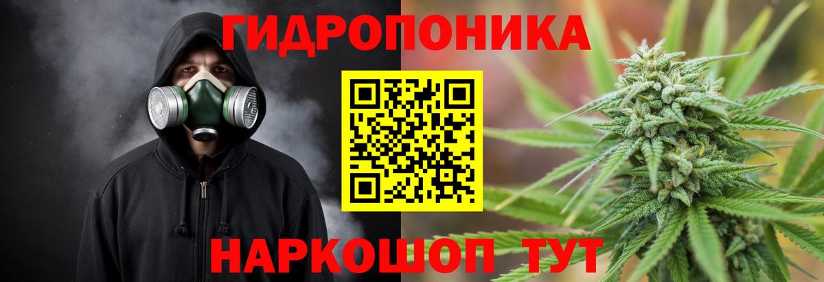 Канабис Bruce Banner Лянтор